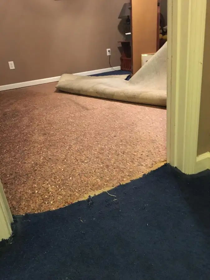 Carpet pad removal revealing water damage during Water Mitigation Services in Timnath