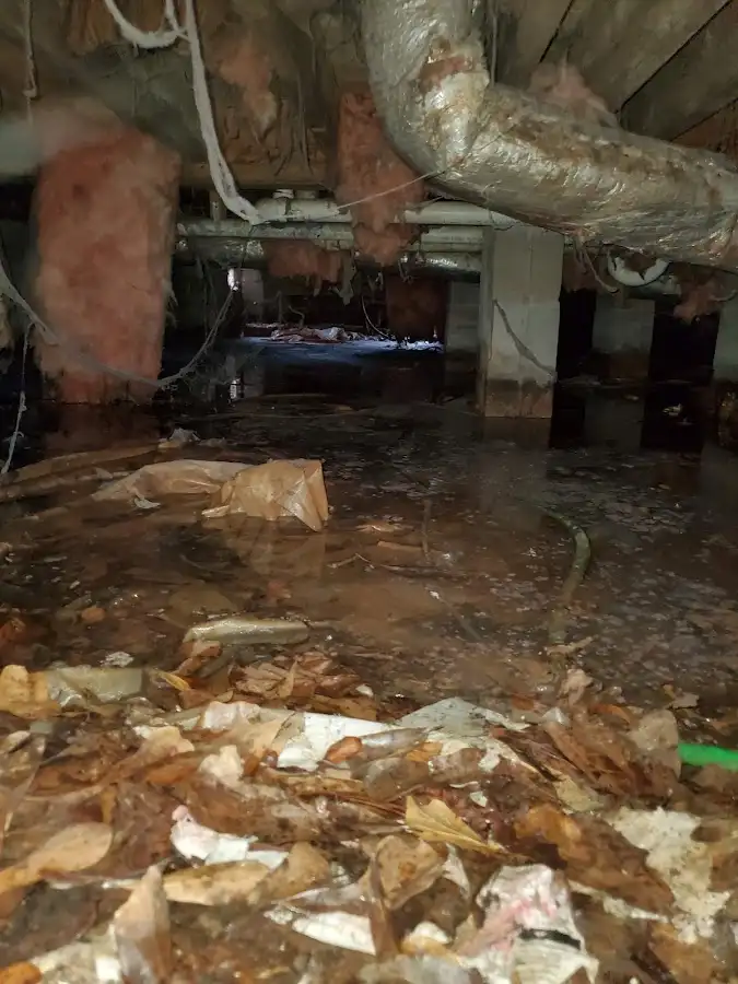 Crawl space flood assessment for Leak Detection & Repair in Timnath